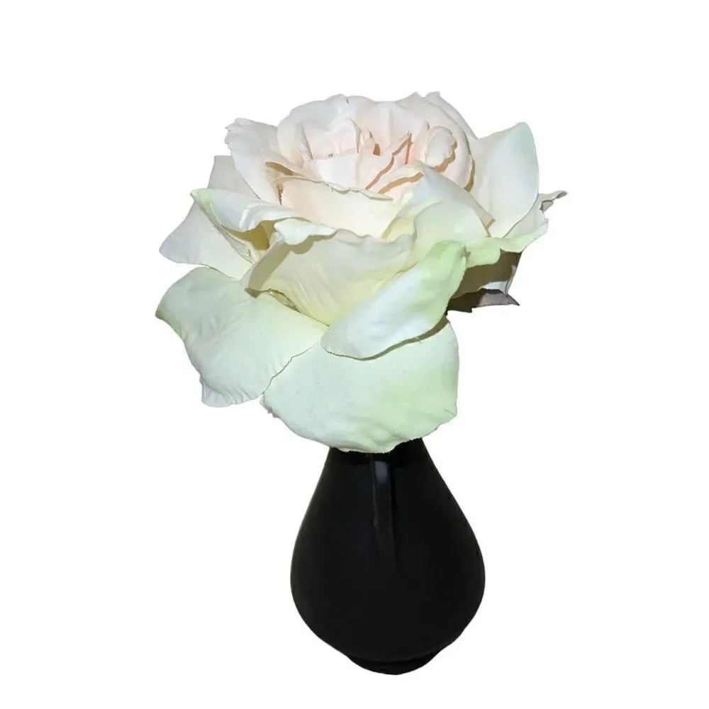 ‎Gorgeous large faux rose in a matte black vase